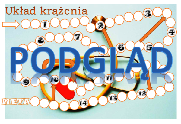 Układ krążenia - gra planszowa