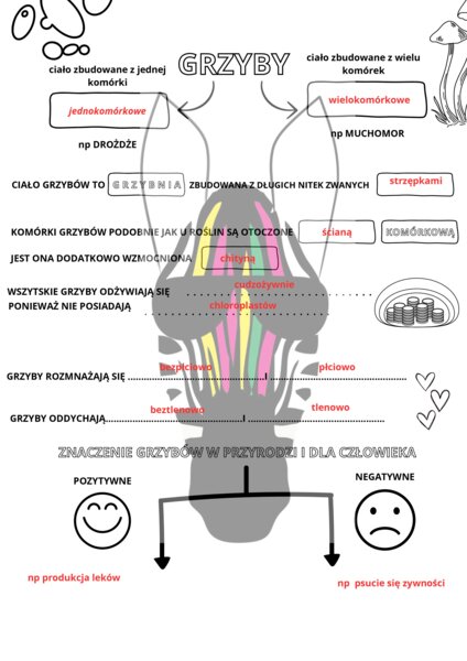 Karta pracy - grzyby