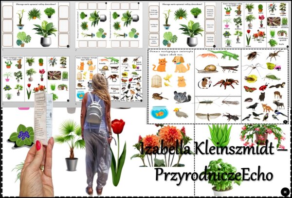 Książeczka/karta pracy/wklejka/stacje zadaniowe/notatka okienkowa. Temat „Rośliny i zwierzęta wokół nas” w pdf. Przyroda 4, dział „Poznajemy świat organizmów”. Nowość 2024/2025.