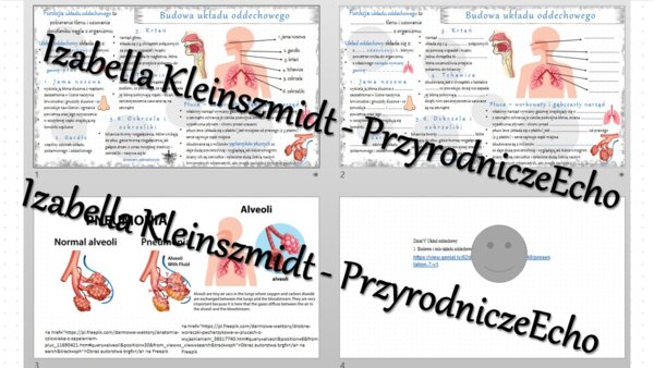 Minizestaw na temat „Budowa i rola układu oddechowego” – sketchnotka + karta pracy w power point + gratisowy link do prezentacji multimedialnej niekomercyjnej wykonanej w genial.ly do indywidualnego pobrania i użycia do celów niekomercyjnych. Biologia 7,