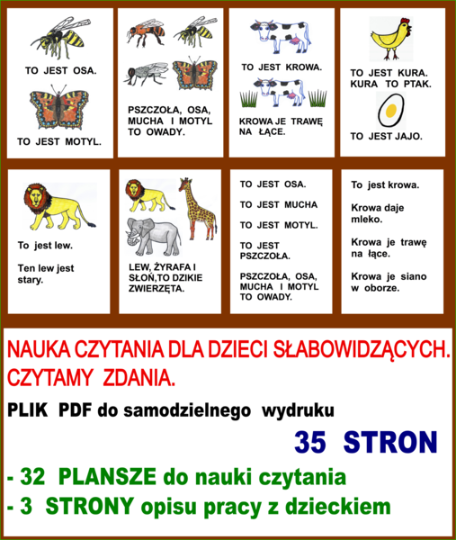 NAUKA CZYTANIA DLA DZIECI SŁABOWIDZĄCYCH. CZYTAMY ZDANIA.