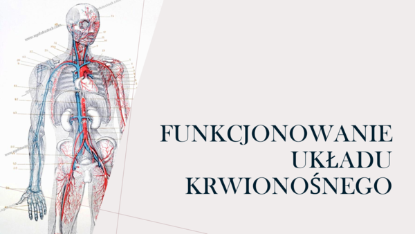 Funkcjonowanie układu krwionośnego KLASA 3 ROZSZERZENIE BIOLOGIA