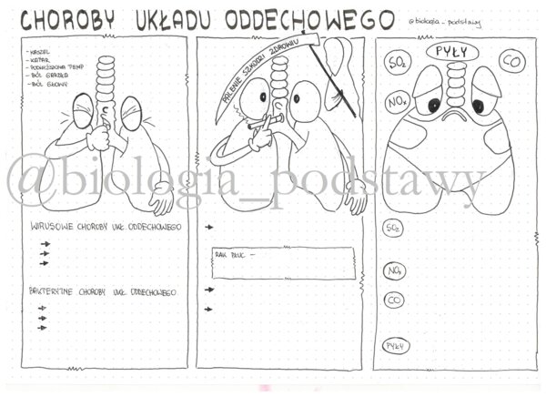 Klasa 7 - Choroby układu oddechowego - kp