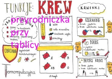 Klasa 7.Biologia. Krew