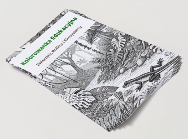 Kolorowanki edukacyjne. Zwierzęta, rośliny, ekosystemy