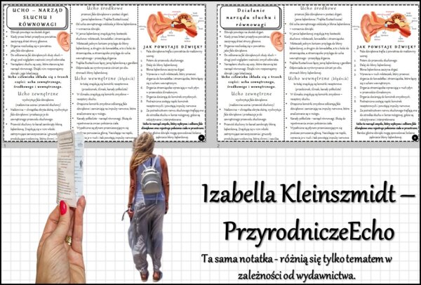 Książeczka/broszurka/notatka/sketchnotka/wklejka/ściąga dla ucznia/przypomnienie dla nauczyciela - w pdf. – „UCHO – NARZĄD SŁUCHU I RÓWNOWAGI”, „Działanie narządu słuchu i równowagi”. Biologia 7. Dział „Narządy zmysłów”. Na podstawie wydawnictw: Nowa Era