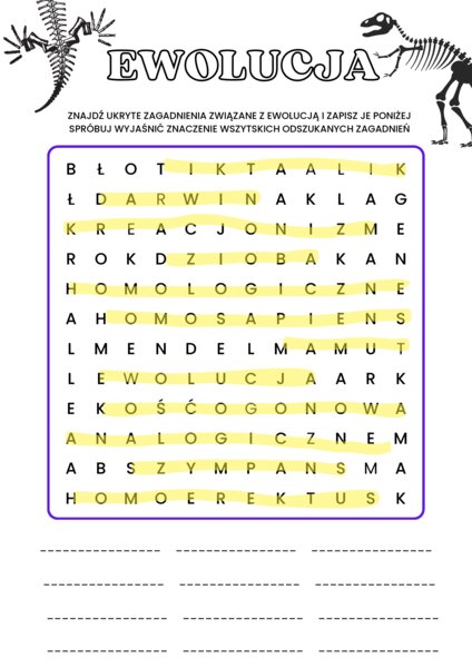 Wykreślanka -ewolucja