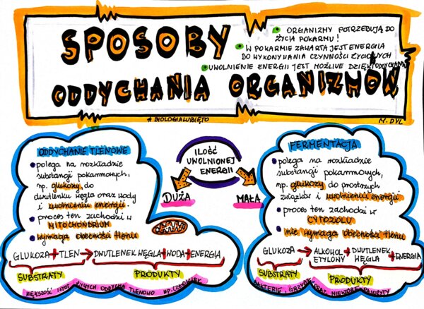 Klasa 5. Biologia. Sposoby oddychania organizmów (karta pracy kolorowa)