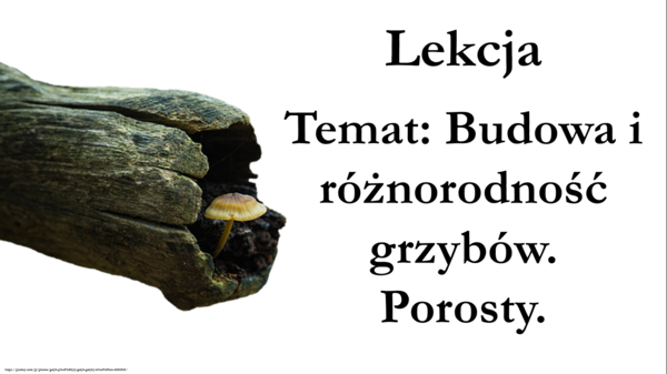 Klasa 5 - Budowa i różnorodność grzybów. Porosty. – prezentacja
