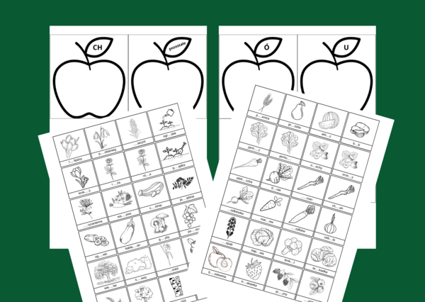 ORTOGRAFICZNY OGRÓD - ortografia - wklejki - karty pracy