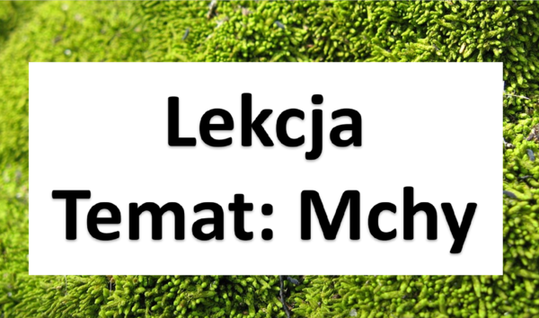 Klasa 5 - Zestaw "Mszaki"