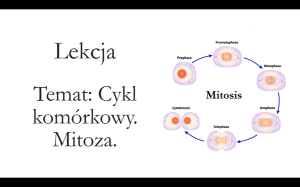 Klasa 1 (podstawa) - Cykl komórkowy. Mitoza - prezentacja