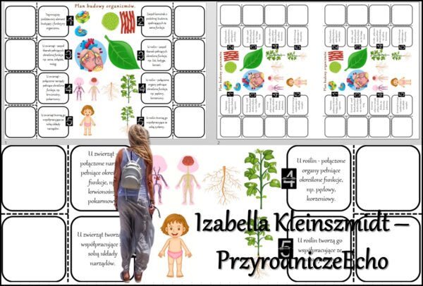 Notatka okienkowa/stacja zadaniowe/notatka/notatka graficzna/karta pracy/sketchnotka „Plan budowy organizmów”, „Biologia jako nauka” w pdf. Biologia 5 dział „Biologia – nauka o życiu”. Materiał wykonany na podstawie podręcznika z wydawnictwa Nowa Era – n