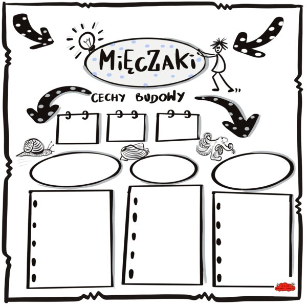 Klasa 6 Biologia "Mięczaki", karta pracy do uzupełnienia