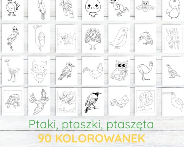 Kolorowanka „Ptaszki” – 90 stron PDF do druku!