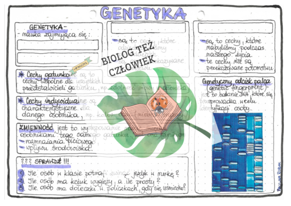 Genetyka (cechy dziedziczne, niedziedziczne, gatunkowe, indywidualne, zmienność) – szarość