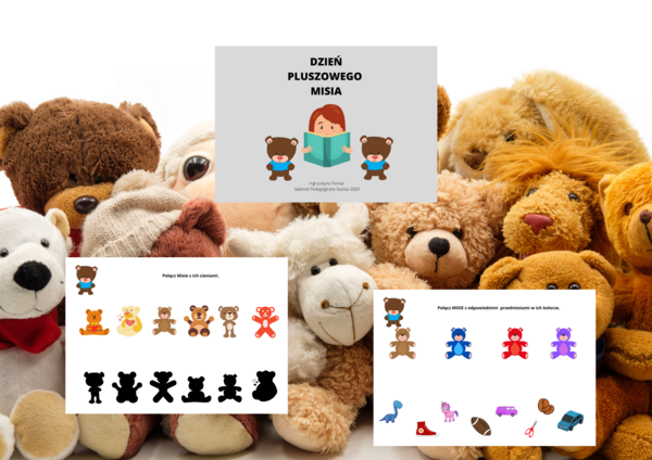 DZIEŃ PLUSZEWGO MISIA