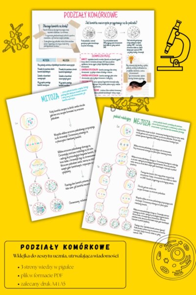 Podziały komórkowe – sketchnotka – wklejka | Biologia | klasa 8