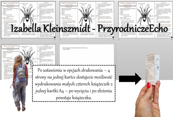 Broszurka/notatka/sketchnotka/wklejka/ściąga dla ucznia/przypomnienie dla nauczyciela w pdf. Biologia 6 „Stawonogi i mięczaki” – „Pajęczaki – stawonogi, które mają cztery pary odnóży”.