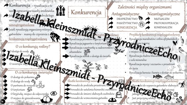 Sketchnotka - notatka „Konkurencja” wykonana w power point do edycji. Biologia 8; „EKOLOGIA”