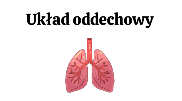 układ oddechowy KLASA 3 ROZSZERZENIE BIOLOGIA
