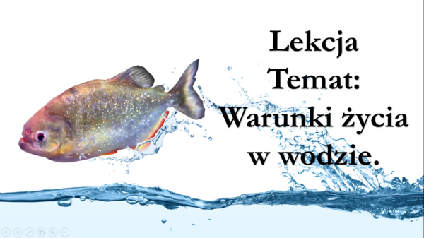Klasa 4 - Warunki życia w wodzie - prezentacja