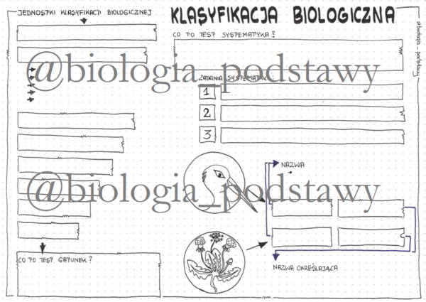 Klasa 5 - Klasyfikacja biologiczna - KP