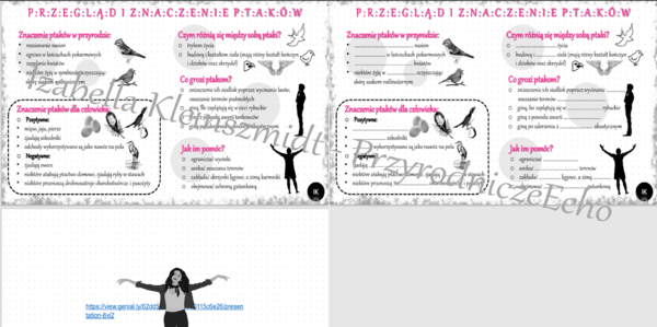 Mini zestaw do tematu „Przegląd i znaczenie ptaków” – Biologia klasa 6 - sketchnotka i karta pracy w pdf + gratisowy link do prezentacji multimedialnej niekomercyjnej wykonanej w genial.ly do indywidualnego pobrania i użycia do celów niekomercyjnych. Bio