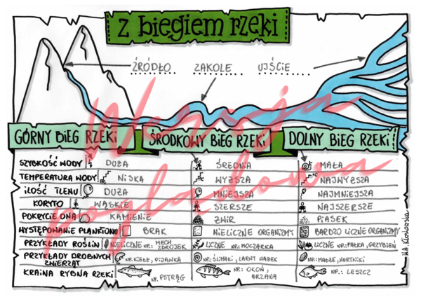 Z biegiem rzeki -przyroda kl. 4 -wypełniona karta pracy