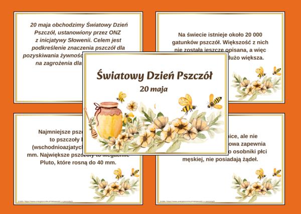 DZIEŃ PSZCZÓŁ – ciekawostki o pszczołach – wiosna – GAZETKA – biblioteka – świetlica – 13 stron – wersja 1