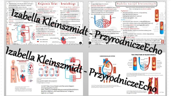 Sketchnotka - notatka „Krążenie krwi” wykonana w power point do edycji. Biologia 7; „Układ krążenia”