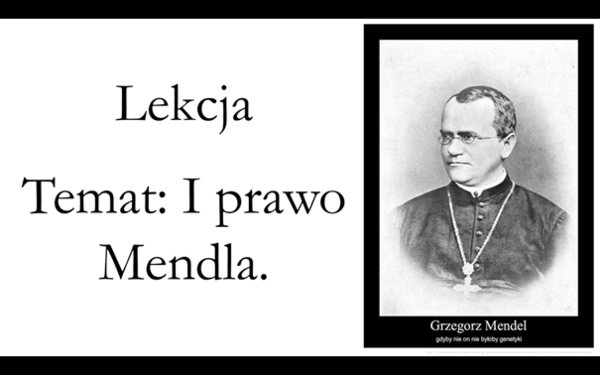 Klasa 3 ( podstawa) - I prawo Mendla - prezentacja