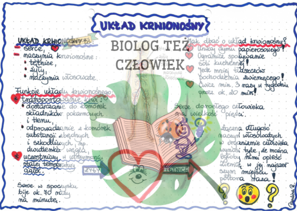 PRZYRODA - Ciało człowieka - Układ krwionośny - kolor
