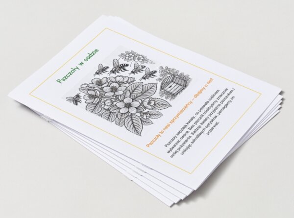 Kolorowanki ekologiczne (dla młodszych dzieci)