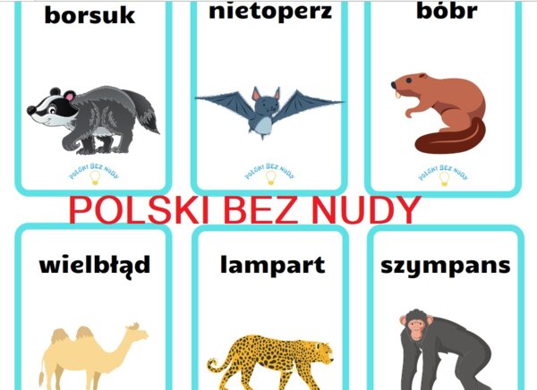 Czółko - zwierzęta