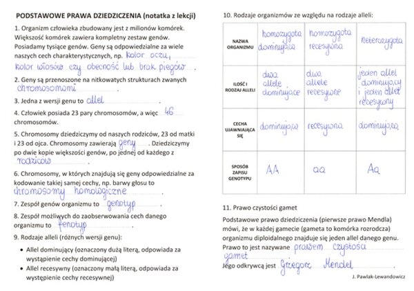 Podstawowe prawa dziedziczenia