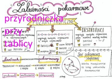 Klasa 8. Biologia. Zależności pokarmowe