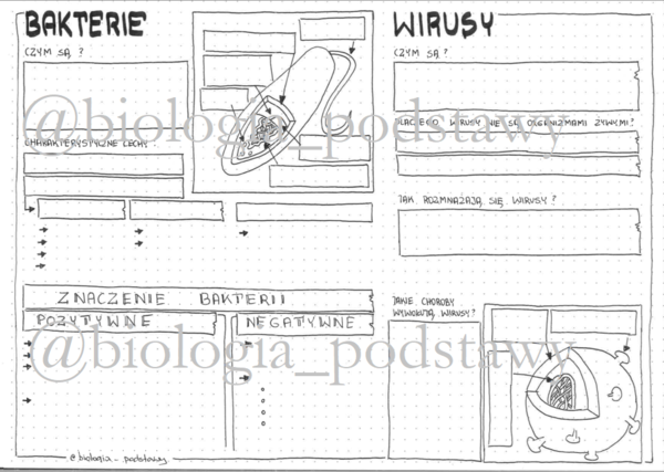Klasa 5 - Bakterie i wirusy - karta pracy