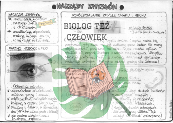 PRZYRODA - Ciało człowieka - narządy zmysłów