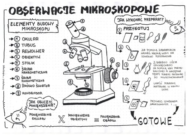 Obserwacje mikroskopowe - klasa 5 - sketchnotka KP