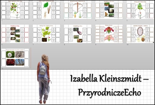 Zestaw notatek okienkowych. Stacje zadaniowe/notatki/notatki graficzne/karty pracy/sketchnotki/projekt/lekcje w terenie do działu „Tkanki i organy roślinne” w pdf. Biologia 5.