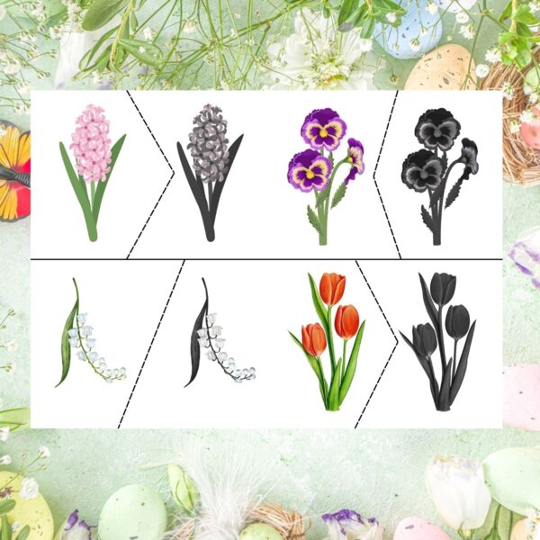 Wiosenne kwiaty – dopasuj kwiat do jego cienia