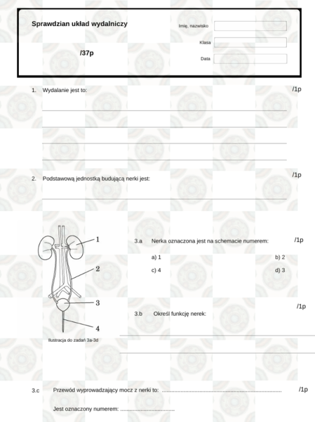 Sprawdzian układ wydalniczy klasa 7