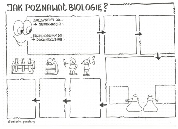 Jak poznawać biologię - klasa 5 sketchnotka