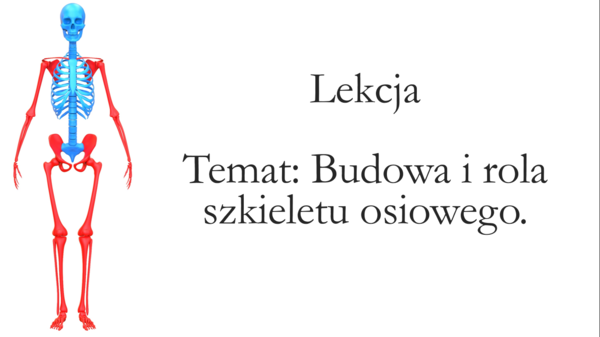 Klasa 7 - Budowa szkieletu osiowego - prezentacja