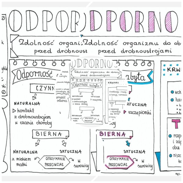 Odporność - skethcnotka