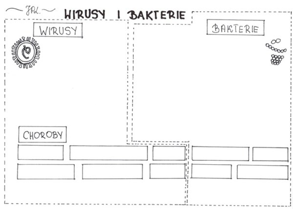 Wirusy i bakterie (karta pracy)