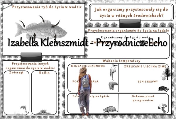 Karta pracy „Jakie organizmy przystosowały się do życia w różnych środowiskach?” wykonana w power point do edycji. Przyroda 4, „Środowisko życia organizmów” na podstawie wydawnictwa WSiP