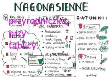 Klasa 5. Biologia. Nagonasienne