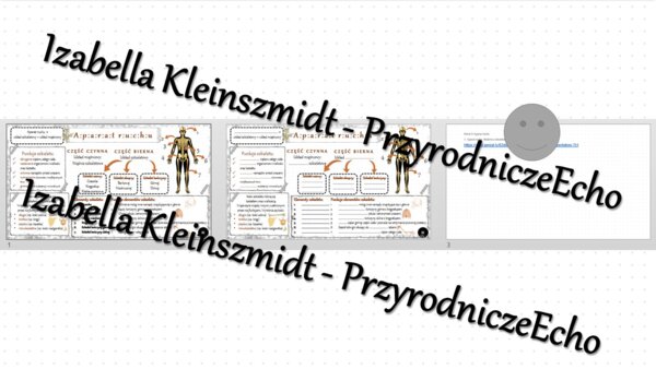 Minizestaw na temat „Aparat ruchu. Budowa szkieletu” – sketchnotka + karta pracy w power point + gratisowy link do prezentacji multimedialnej niekomercyjnej wykonanej w genial.ly do indywidualnego pobrania i użycia do celów niekomercyjnych. Biologia 7, „